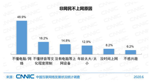 中國互聯網絡發展狀況統計報告(2020年第46次) 網民規模、結構狀況與計算機軟件數據處理服務分析